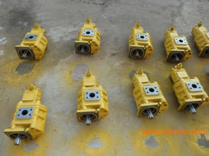 專業(yè)雙聯(lián)齒輪油泵選購(gòu)指南 廠家、型號(hào)、質(zhì)量與價(jià)格全解析